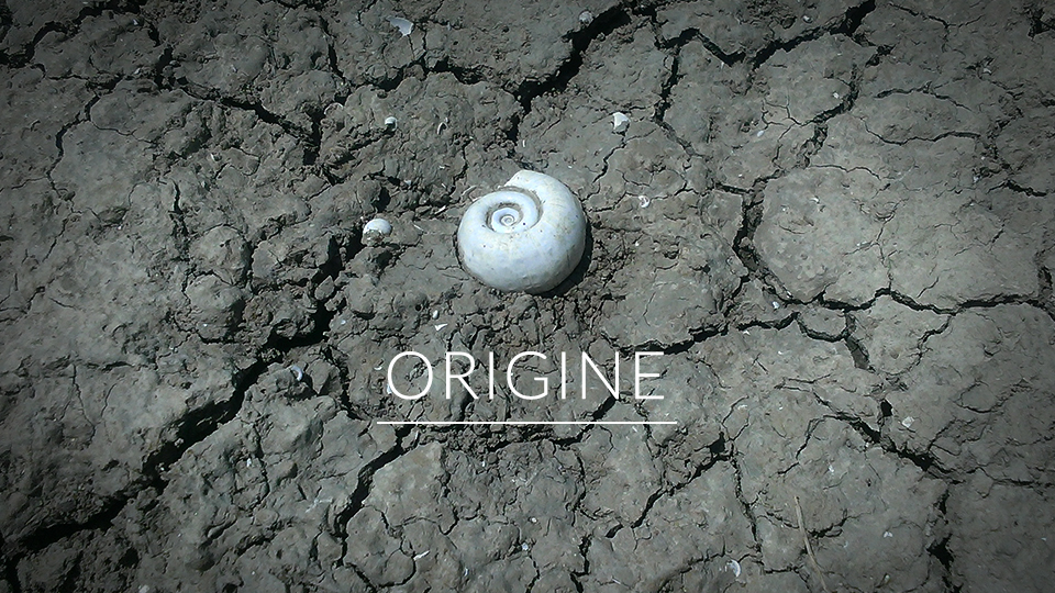 Origine